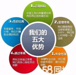 五大企业服务优势助力创业者快速落地 免费注册、代理记账与税务规划全解析